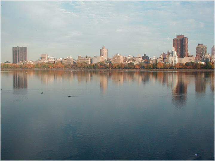 Central Park