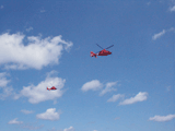The Coast Guard
