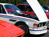 Classic BMWs
