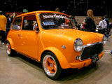 Orange Classic Mini